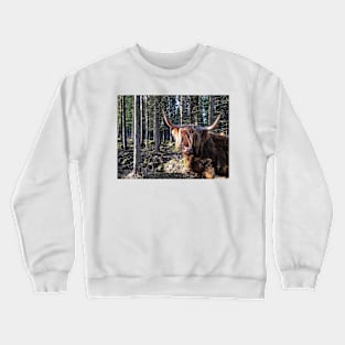 Scottish Highland Cattle Cow 2353 Crewneck Sweatshirt